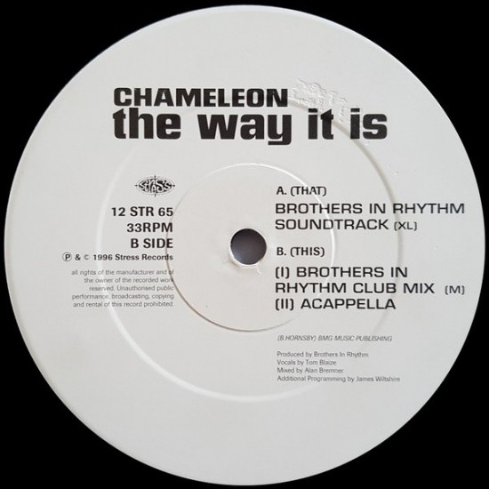 Chameleon - The Way It Is (12")