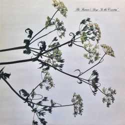 The Farmer's Boys - In The Country (12") The Farmer's Boys - In The Country (12")