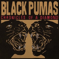 Black Pumas - Chronicles Of A Diamond (LP - Special Limited Edition - Clear)