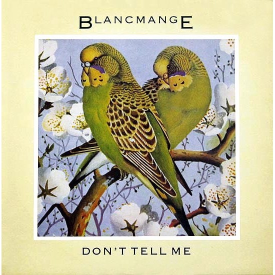 Blancmange ‎"Don't Tell Me" (12")