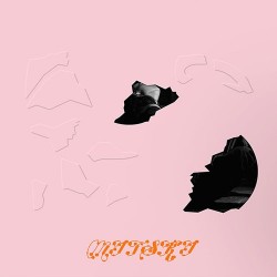 Mitski - The Land Is Inhospitable And So Are We (LP - Limited Edition - Gatefold - Robin's Egg Blue) Mitski - The Land Is Inhospitable And So Are We (LP - Limited Edition - Gatefold - Robin's Egg Blue)