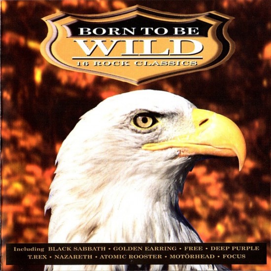 Born To Be Wild 16 Rock Classics (CD)