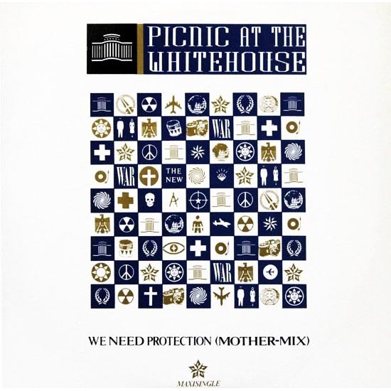 Picnic At The Whitehouse ‎"We Need Protection (Mother-Mix)" (12")