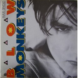 The Blow Monkeys - It Doesn't Have To Be This Way (12") The Blow Monkeys - It Doesn't Have To Be This Way (12")