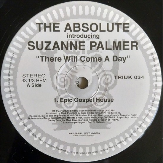 The Absolute Introducing Suzanne Palmer ‎"There Will Come A Day" (12")