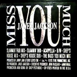 Janet Jackson - Miss You Much (12") Janet Jackson - Miss You Much (12")