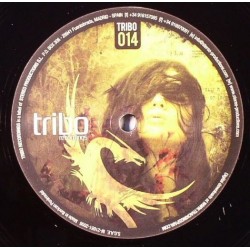 T.T.S - The Force (Can You Feel...) (12")