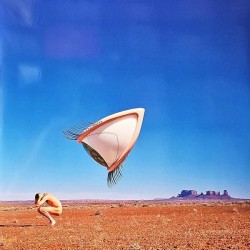 The Cranberries - Bury The Hatchet (2xLP - RSD Limited Edition)