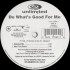2 Unlimited - Do What's Good For Me (12")