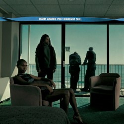 Skunk Anansie - Post Orgasmic Chill (2xLP - Gatefold - 25th Anniversary Expanded Edition)