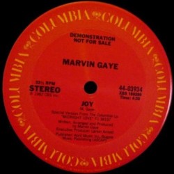Marvin Gaye - Joy (12" - Promo)