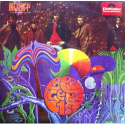 Bee Gees - 1st (LP)  Bee Gees - 1st (LP)