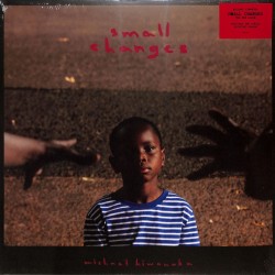 Michael Kiwanuka - Small Changes (LP - Gatefold)