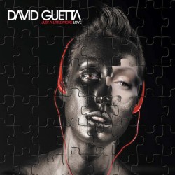 David Guetta - Just A Little More Love (2xLP - Gatefold)