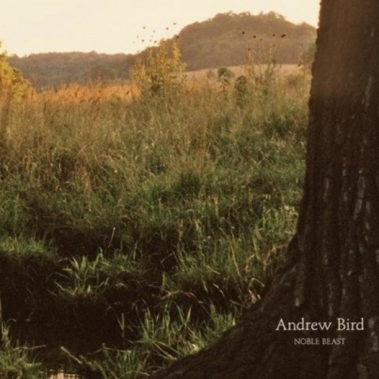 Andrew Bird ‎"Noble Beast" (CD)