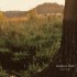 Andrew Bird - Noble Beast (CD) Andrew Bird - Noble Beast (CD)