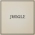 Jungle - Loving In Stereo (LP) 