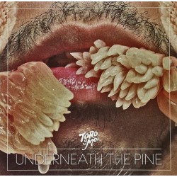 Toro Y Moi - Underneath The Pine (LP)*  Toro Y Moi - Underneath The Pine (LP)*