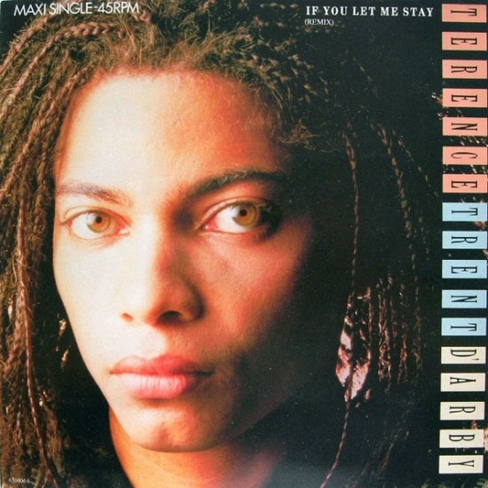 Terence Trent D'Arby ‎"If You Let Me Stay (Remix)" (12")*
