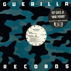 Roy Davis Jr. - Mind Power (12")