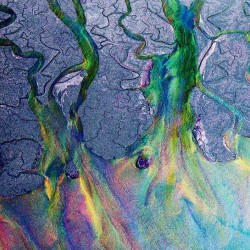 alt-J - An Awesome Wave (LP - Gatefold - White)