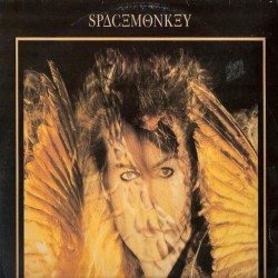 Space Monkey - One More Shot (12")