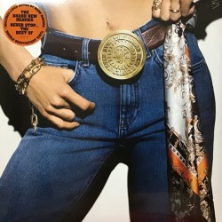 The Brand New Heavies - Never Stop... The Best Of (2xLP)