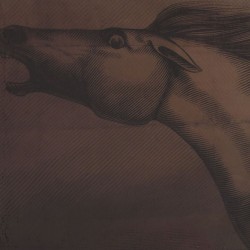 Julian Lynch - Mare (LP)* Julian Lynch - Mare (LP)*