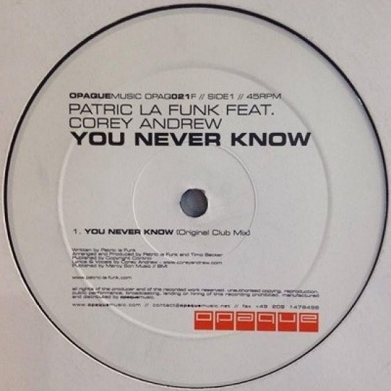 Patric La Funk ‎"You Never Know" (12")