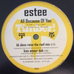 Estee - All Because Of You (12" - Promo)
