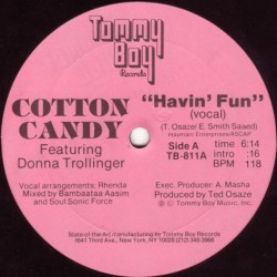 Cotton Candy feat. Donna Trollinger - Havin' Fun (12")* Cotton Candy feat. Donna Trollinger - Havin' Fun (12")*