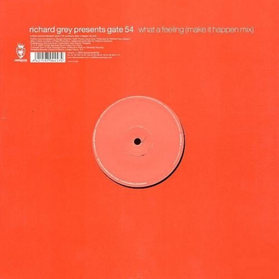 Richard Grey Presents Gate 54 ‎"What A Feeling (Make It Happen Mix)" (12")