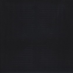 These New Puritans - Hidden (LP - 180g)*  These New Puritans - Hidden (LP - 180g)*