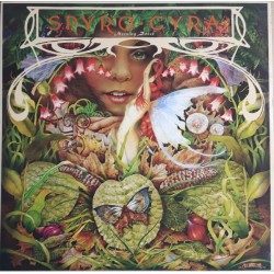 Spyro Gyra ‎- Morning Dance (LP) 