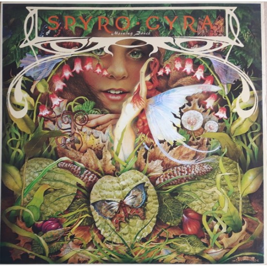 Spyro Gyra ‎- Morning Dance (LP) 