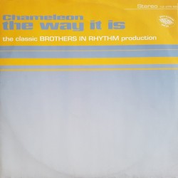 Chameleon - The Way It Is (12") 