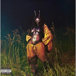 SZA - SOS Deluxe: Lana (4xLP - Gatefold - Green) SZA - SOS Deluxe: Lana (4xLP - Gatefold - Green)