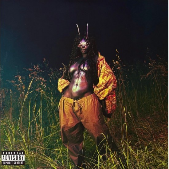 SZA - SOS Deluxe: Lana (4xLP - Gatefold - Green) SZA - SOS Deluxe: Lana (4xLP - Gatefold - Green)