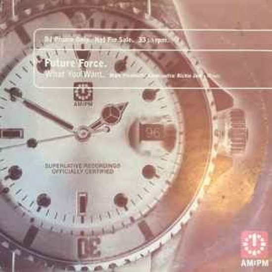 Future Force - What You Want (12")* (Promo) Future Force - What You Want (12")* (Promo)