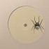 Antonio - Aquática (12")  Antonio - Aquática (12")