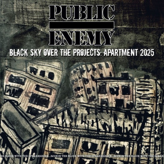 Public Enemy - Black Sky Over The Projects: Apartment 2025 (LP)