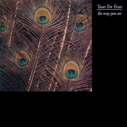 Tears For Fears ‎- The Way You Are (12")