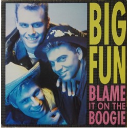 Big Fun ‎- Blame It On The Boogie (12")
