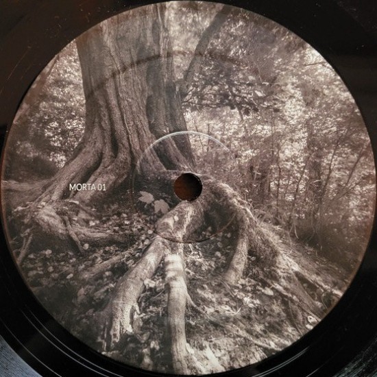 Viiks - Human Disgrace EP (12") Viiks - Human Disgrace EP (12")