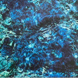 Ichiko Aoba - Luminescent Creatures (LP)  Ichiko Aoba - Luminescent Creatures (LP)