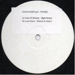 Ram Raiders Vol. 05 (2x12")