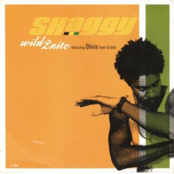 Shaggy Featuring Olivia - Wild 2nite (12") 