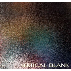 Vertical Blank - No Reason (12") Vertical Blank - No Reason (12")