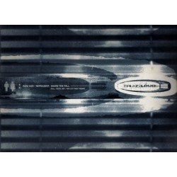 Roni Size / Reprazent ‎- Share The Fall (12") 