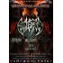 The Root of All Evil Fest II - Sinister @supraMusicHall The Root of All Evil Fest II - Sinister @supraMusicHall